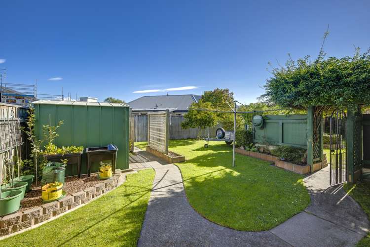 112 Avenue Road Greenmeadows_9