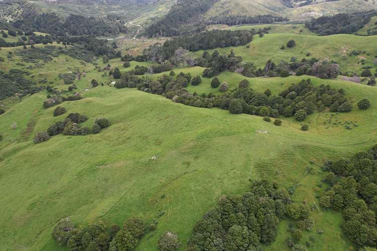 Lot 2/347 Porter Road Paparoa_11