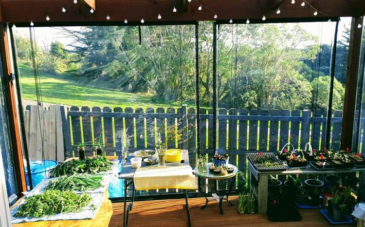 1/24 Kopara Place Clendon Park_14