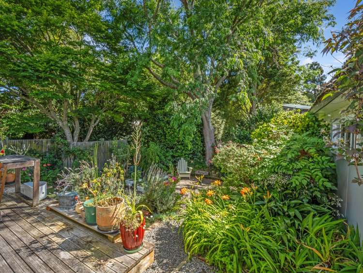 20 Collingwood Street Hokowhitu_27