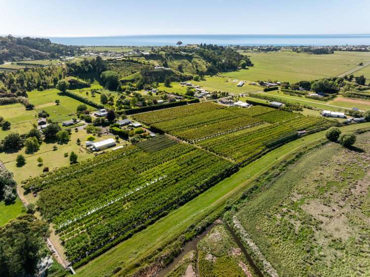 209 Onehunga Road Bay View_20