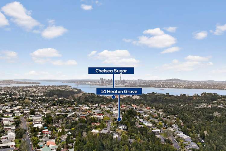 14 Heaton Grove Chatswood_33