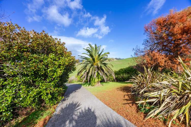 950 Tauhoa Road Kaipara Flats_31