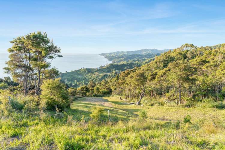 98 Tapu Rise Heights Thames_10