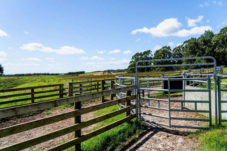 1-6/461 Otamarakau Valley Road Pukehina_16