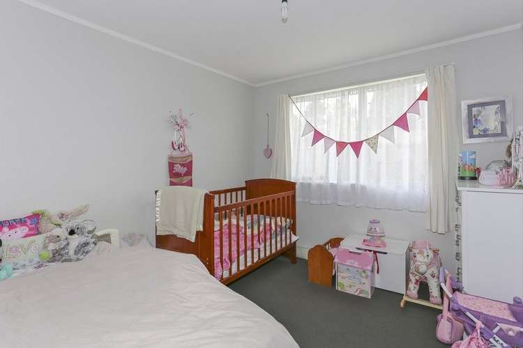 14 Conifer Place Te Puke_9