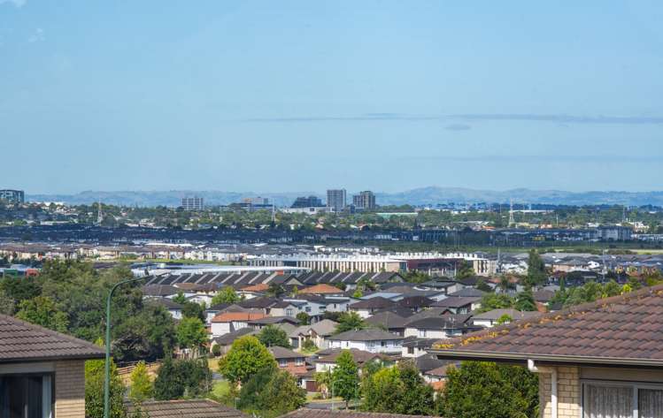 231 Jeffs Road Flat Bush_30