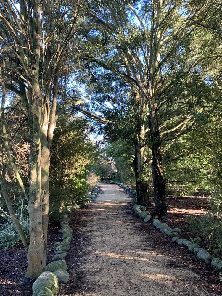 672d Te Whiti Road Te Whiti_15