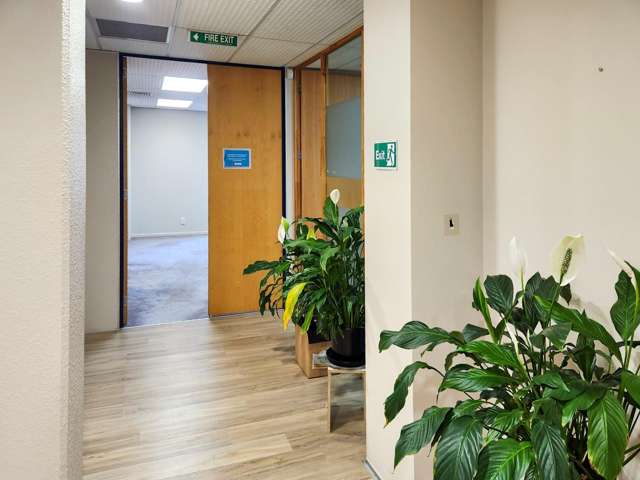 1172 Haupapa Street Rotorua_3