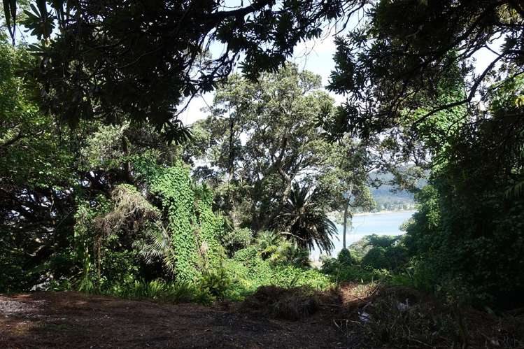 48 Tairua Heights Tairua_12