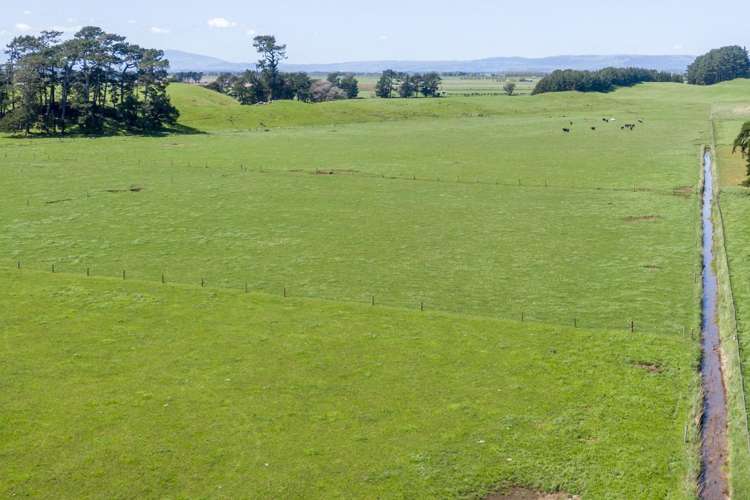 335a Couper Road Glen Oroua_9