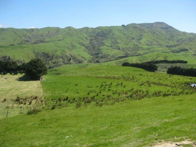 858 Oporae Road Waione_11