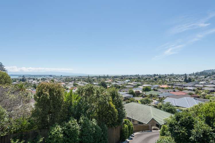 28 Ballard Drive Stoke_9