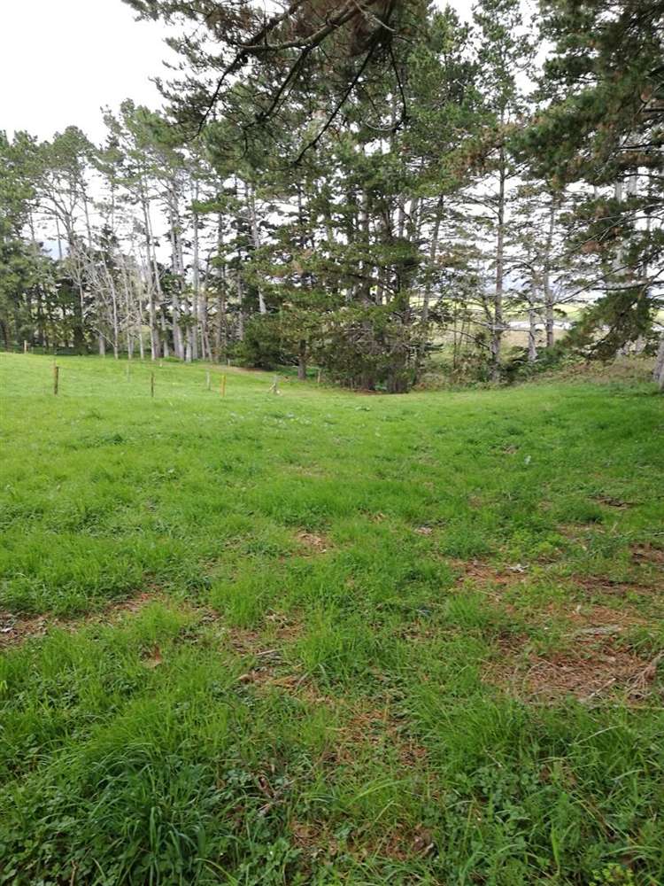 133 Bradford Street Waihi_10