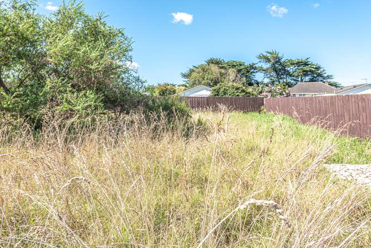 1a Akatea Street Gonville_6