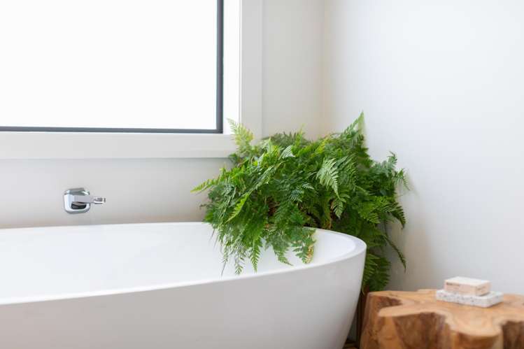 15 Kakemai Rise Pyes Pa_17