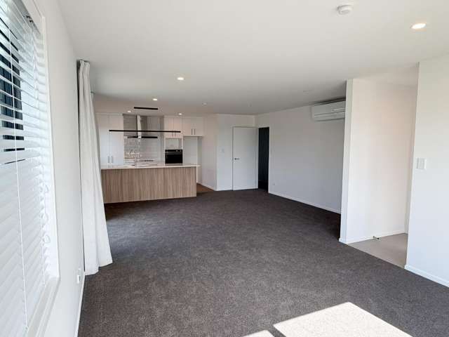 172 Lady Isaac Drive Rolleston_2