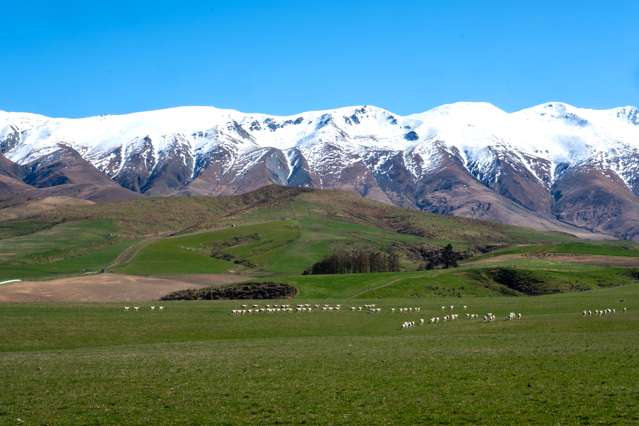 347 Butlers Road Fairlie_3