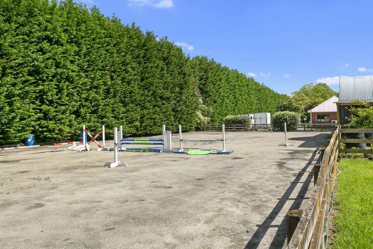 179 Hautapu Road Pukemoremore_7