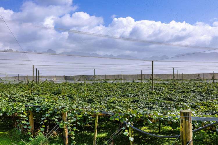 1151 Oreipunga Road Maungatautari_23