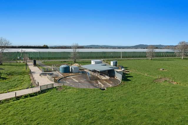 504 West Bank Road Edgecumbe_1