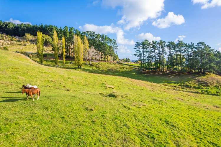 Kawhia Road (SH 31) Kawhia_7