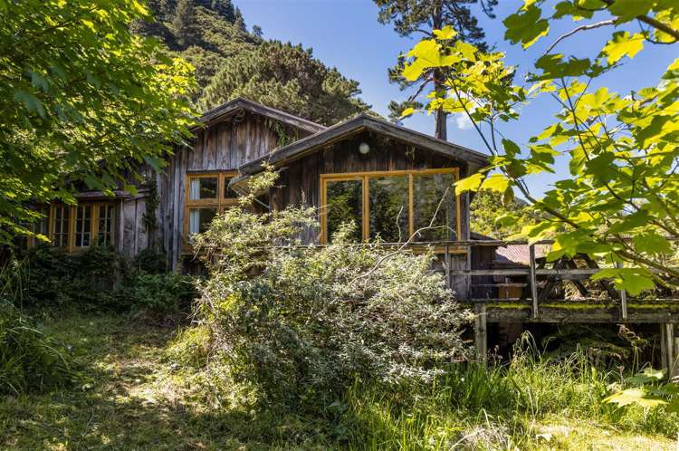 Little Nikau Bay Kenepuru Sound_28