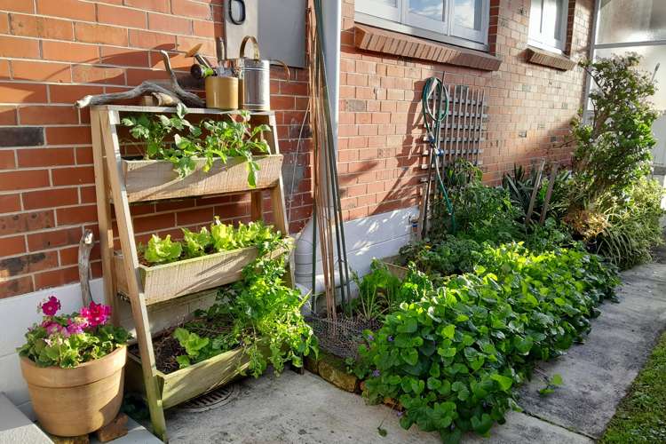 31 Fir Street Waterview_21