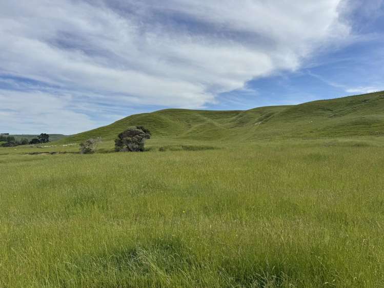 302 Bruce Road Turakina_8