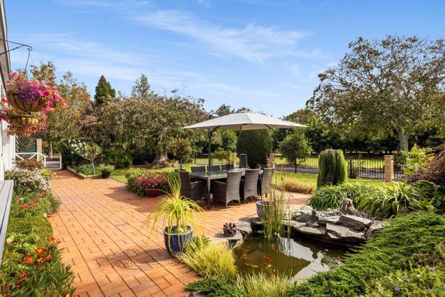 Income, Income and Income - A Rare Gem