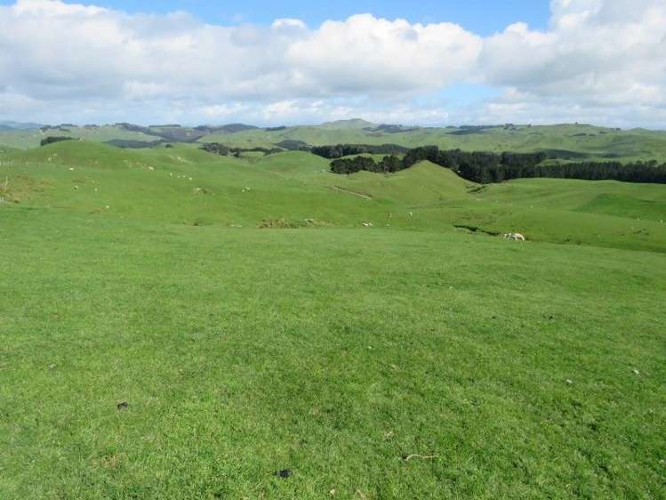 1072 Mangatuna Road Rangitikei Surrounds_6