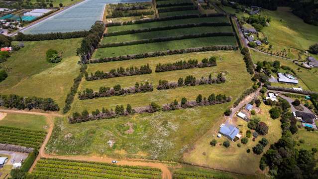 107C Kapiro Road Kerikeri_3