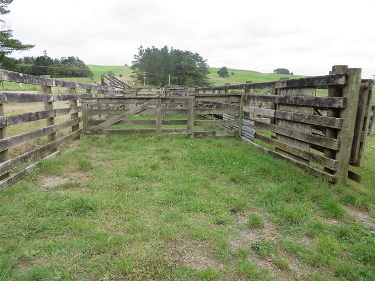 Ovens Road Matakohe_16