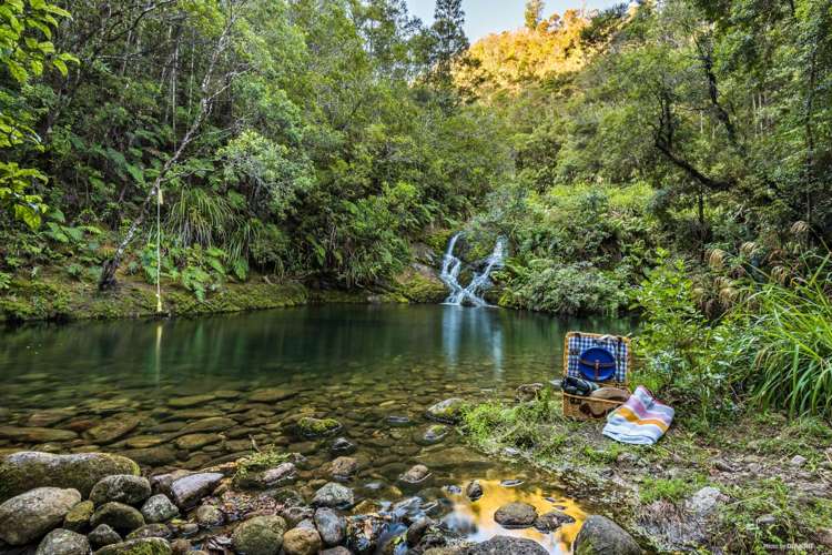 205 Hikuai School Road Hikuai_10