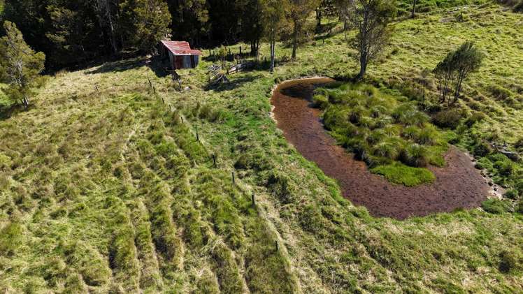 46 Buchanan Road Broadwood_10