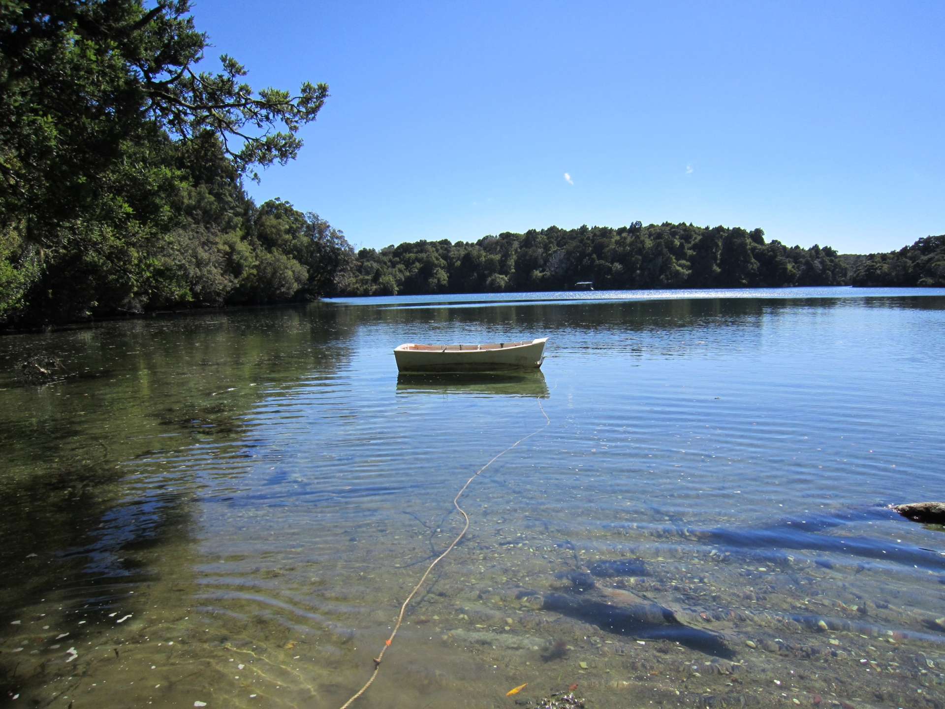 399 Prices Inlet Coast Stewart Island/Rakiura_0