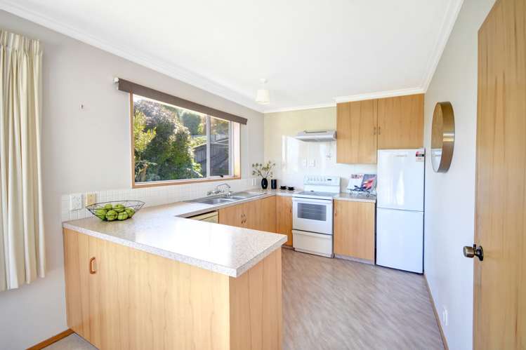 42 Aytoun Street Waverley_6