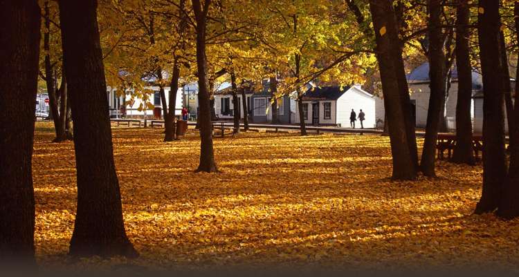 63 Manse Road Arrowtown_3