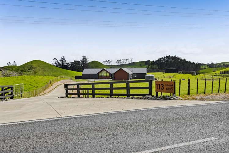 113 Tarata Road Inglewood_42