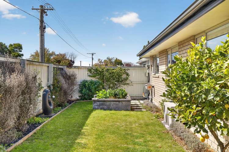 16A Achilles Street Burwood_13