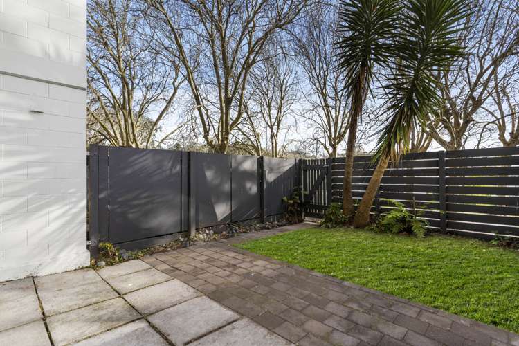 5/145 Howe Street Freemans Bay_6