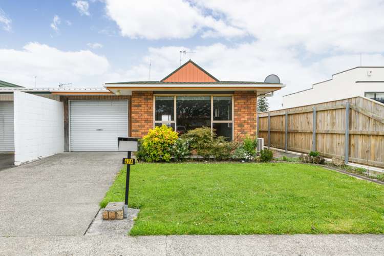 47a Haydon Street Roslyn_22