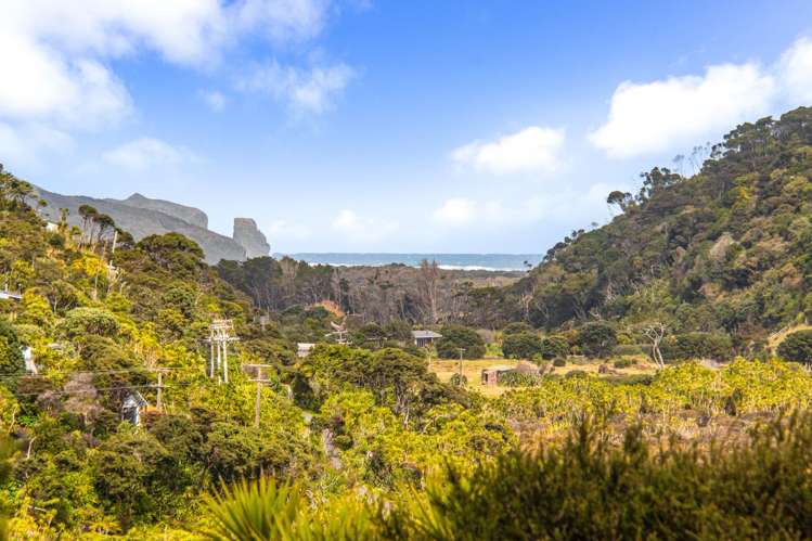 158 Bethells Road Bethells Beach_31