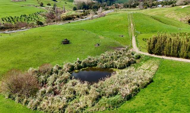 123 Whakapirau Road Wellsford_1