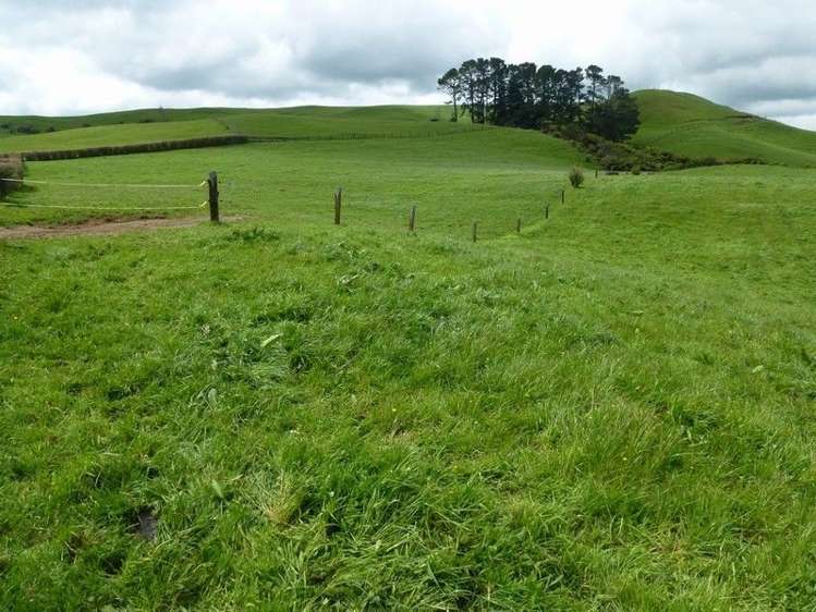 1265 Mountain Road Inglewood_19