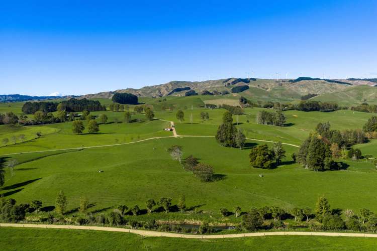 141 Te Mata Road Raglan_13