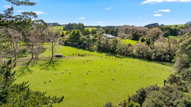 202 Muriwai Valley Road Muriwai_1