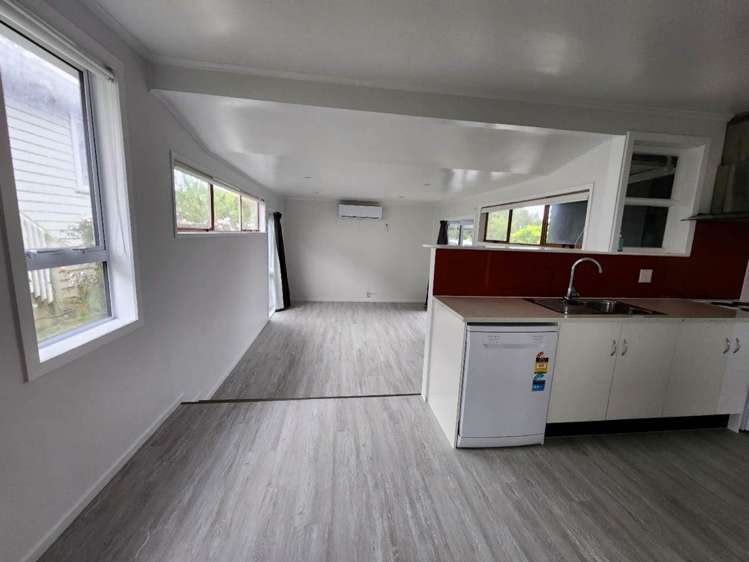60 Webster Avenue Mt Roskill_5