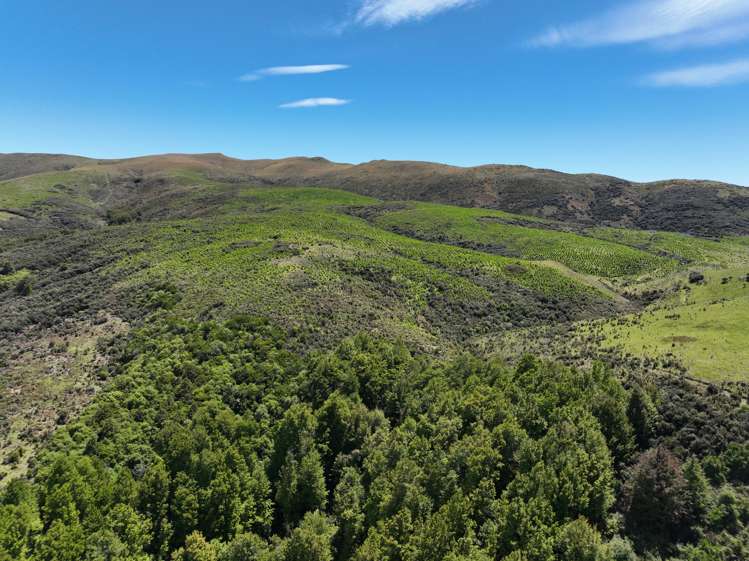 309a Mckenzie Road Lumsden Surrounds_9