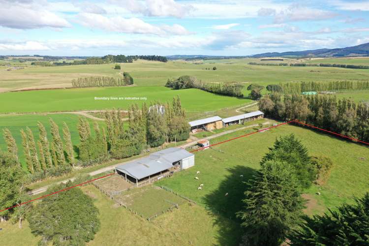 1216 Waimumu Road Waimumu_6